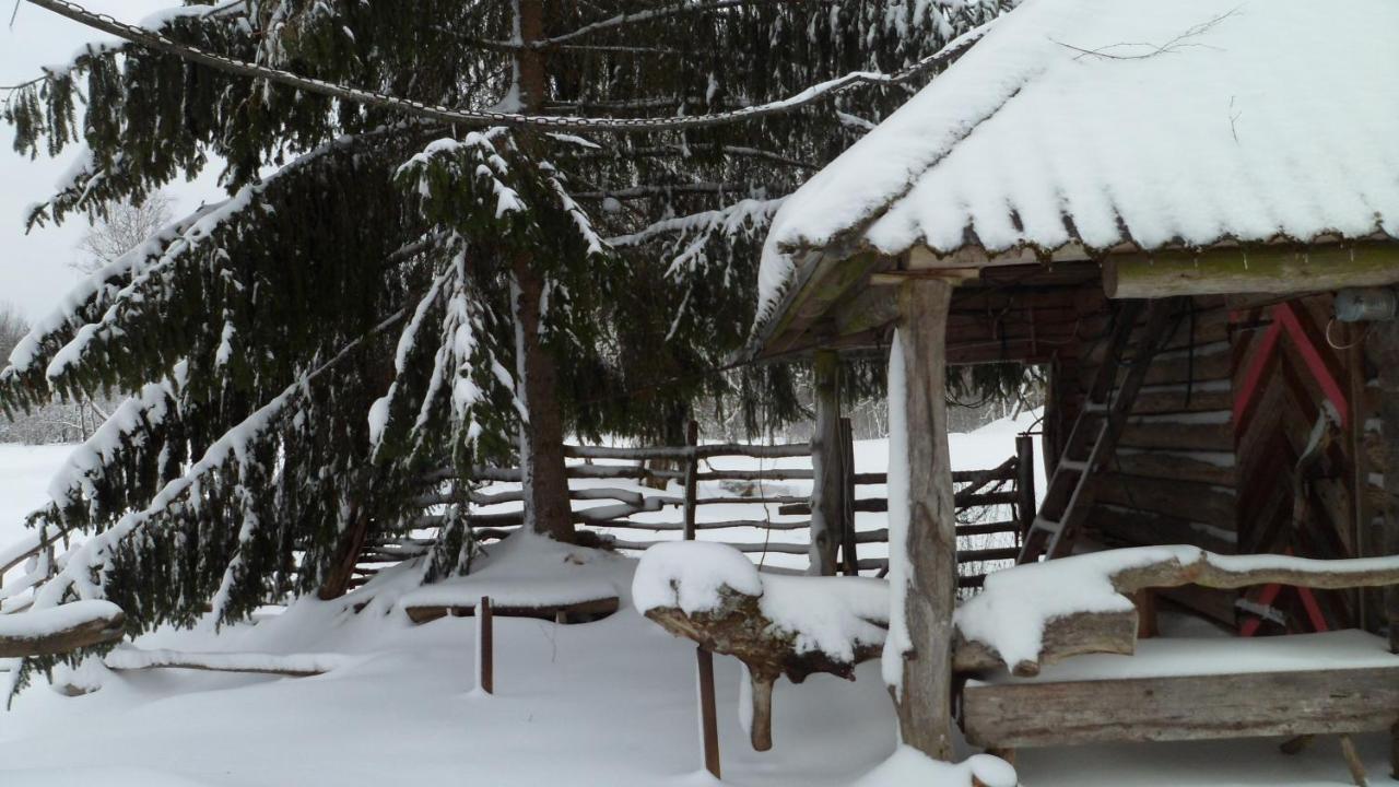Viruna Farm Kiraste Exteriör bild
