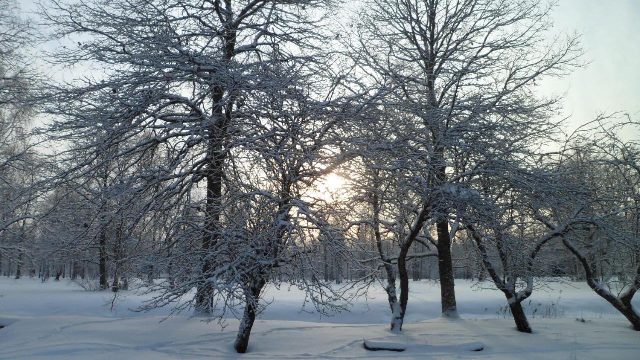 Viruna Farm Kiraste Exteriör bild