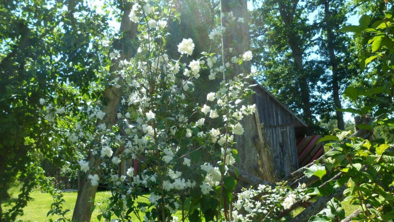 Viruna Farm Kiraste Exteriör bild